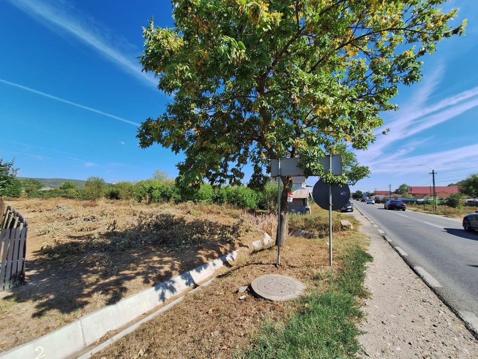 0% Comision-Teren intravilan 1338 mp Bascov-Dobrogostea deschidere la DN7C
