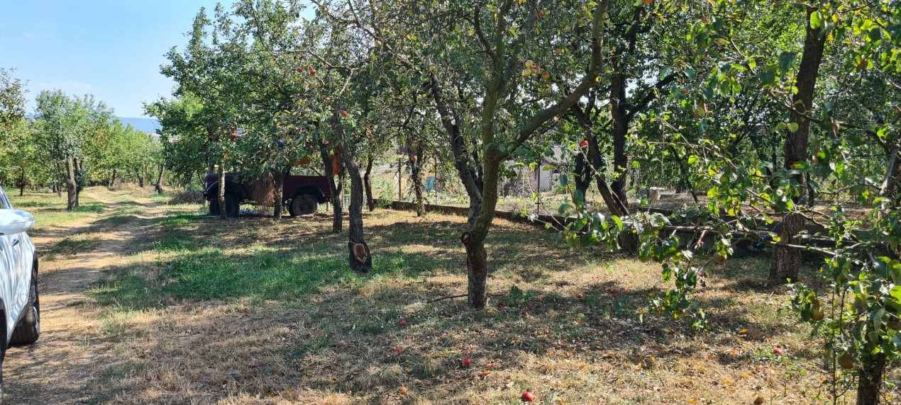 De Vânzare Casă și Cabană 74 ari Viille Satu Mare