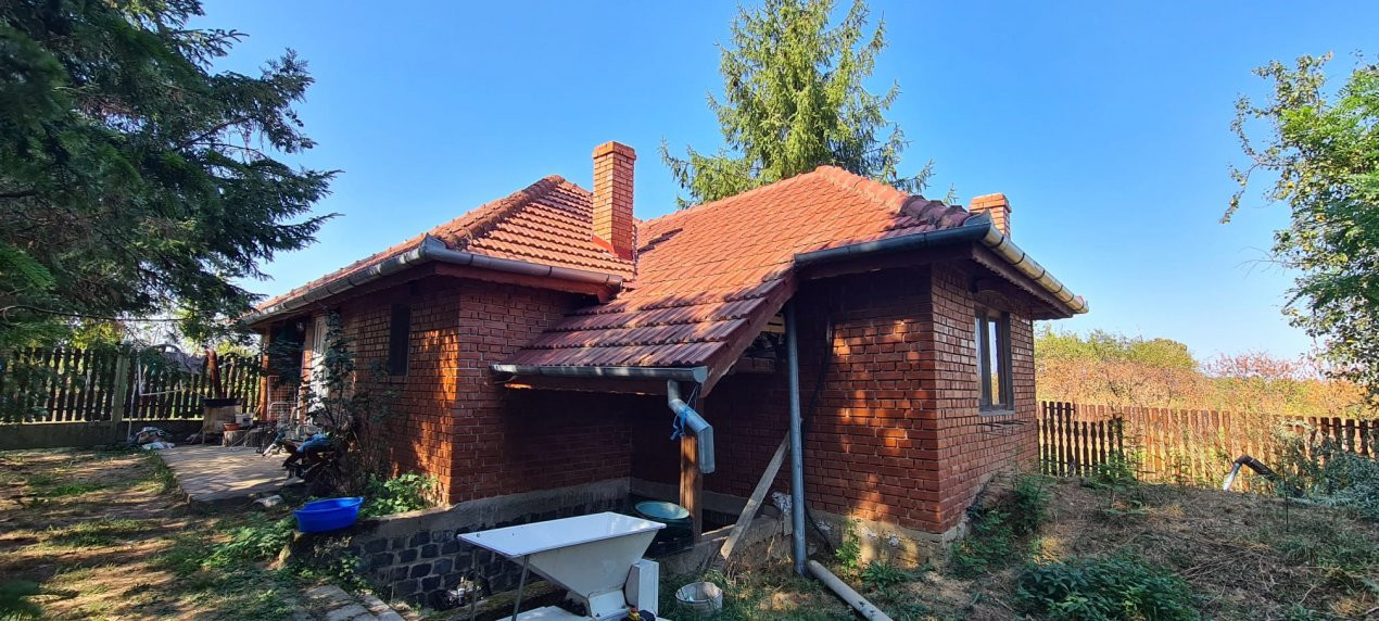 De Vânzare Casă și Cabană 74 ari Viille Satu Mare