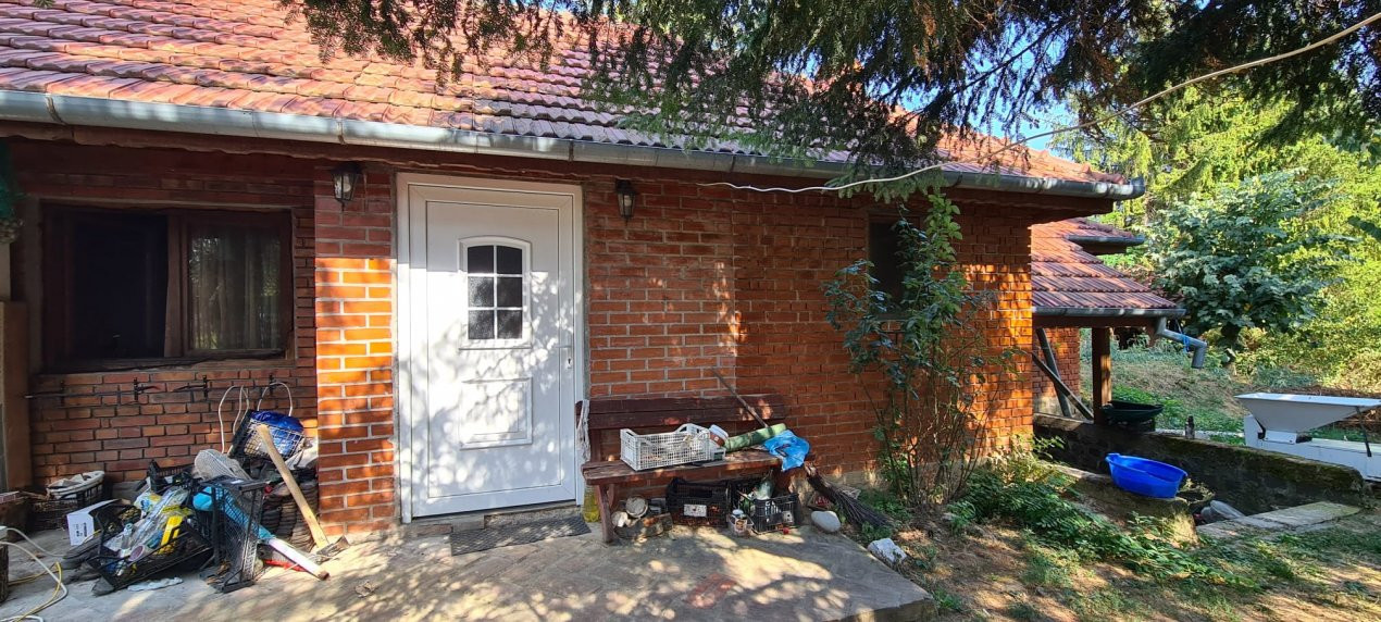 De Vânzare Casă și Cabană 74 ari Viille Satu Mare