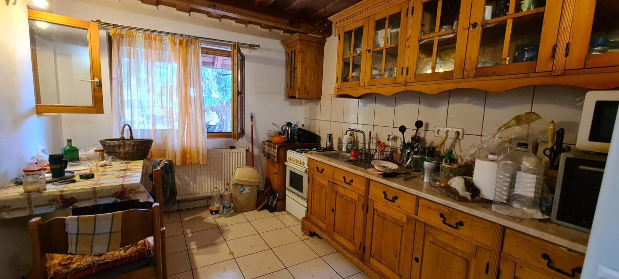 De Vânzare Casă și Cabană 74 ari Viille Satu Mare