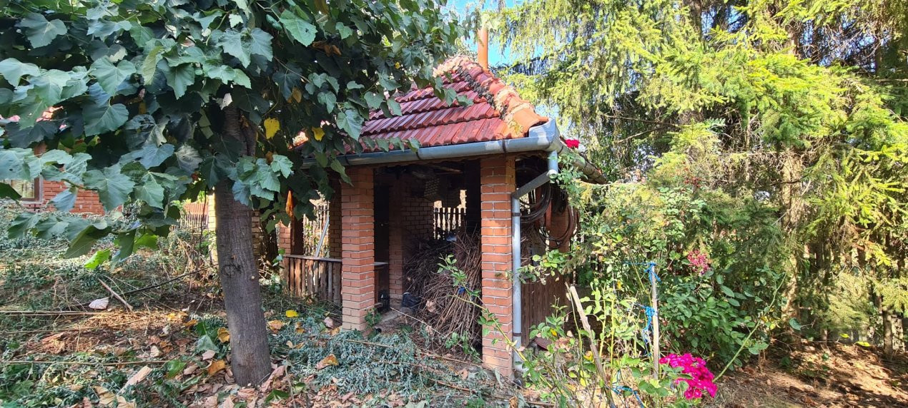 De Vânzare Casă și Cabană 74 ari Viille Satu Mare