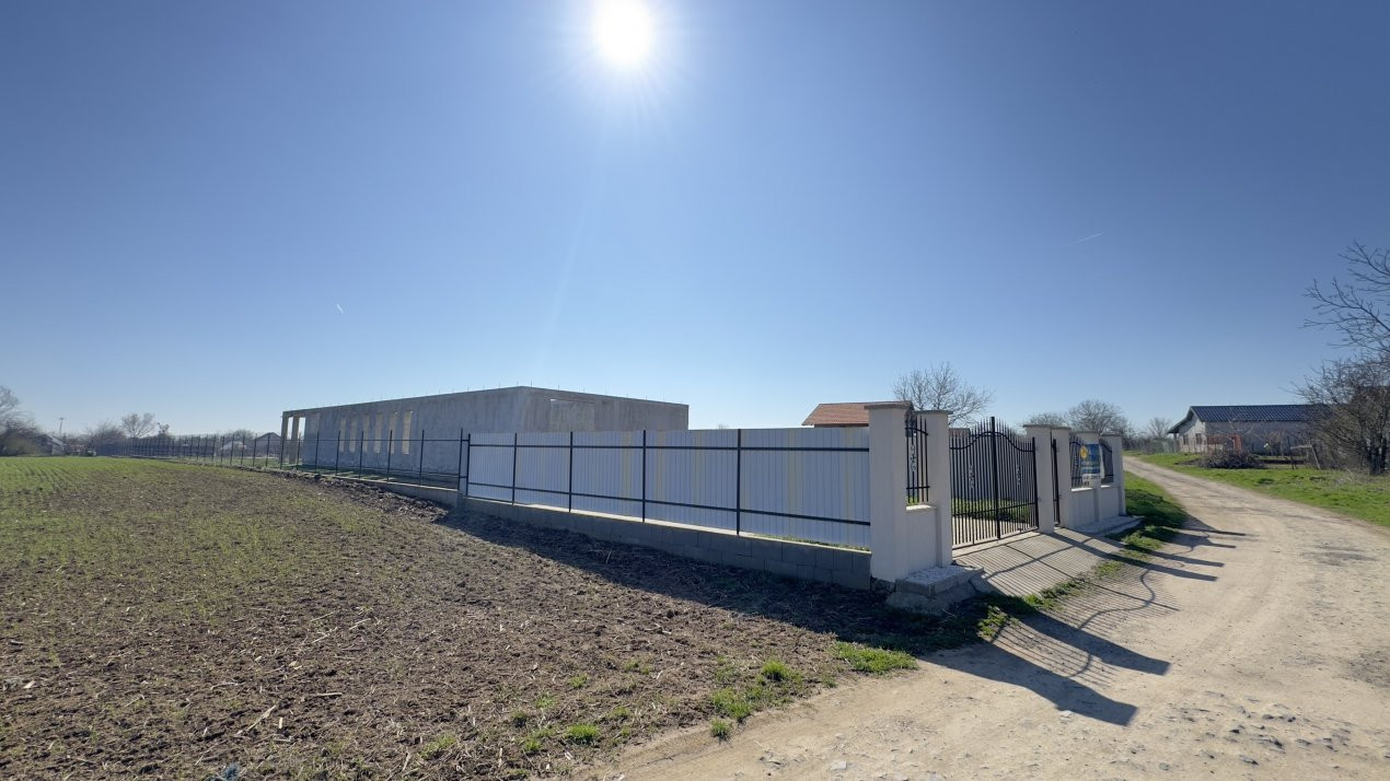Teren extravilan 2000 mp Carei - Viile ANL - Comision 0% cumpărător