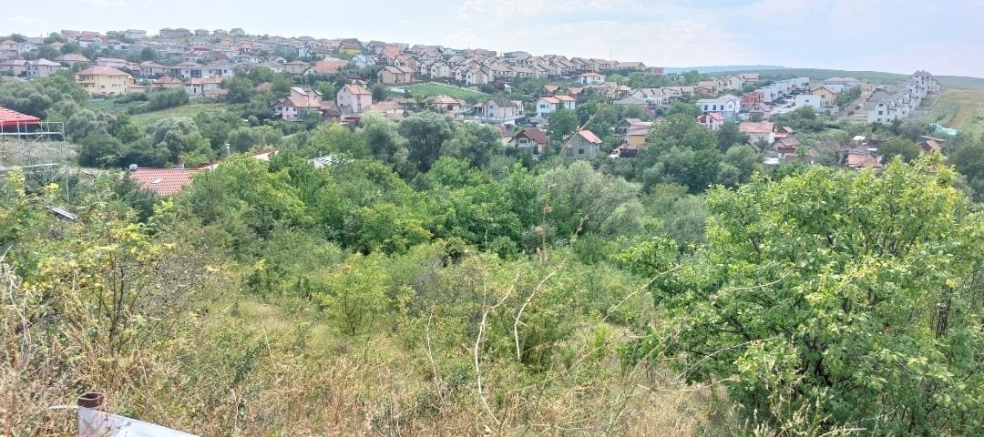 VANZARE DOUA TERENURI INTRAVILANE ALATURATE IN DEZMIR