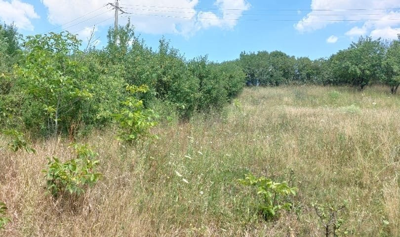 DE VANZARE TEREN INTRAVILAN IN DEZMIR