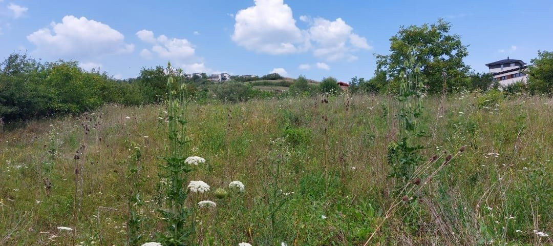 DE VANZARE TEREN INTRAVILAN IN DEZMIR