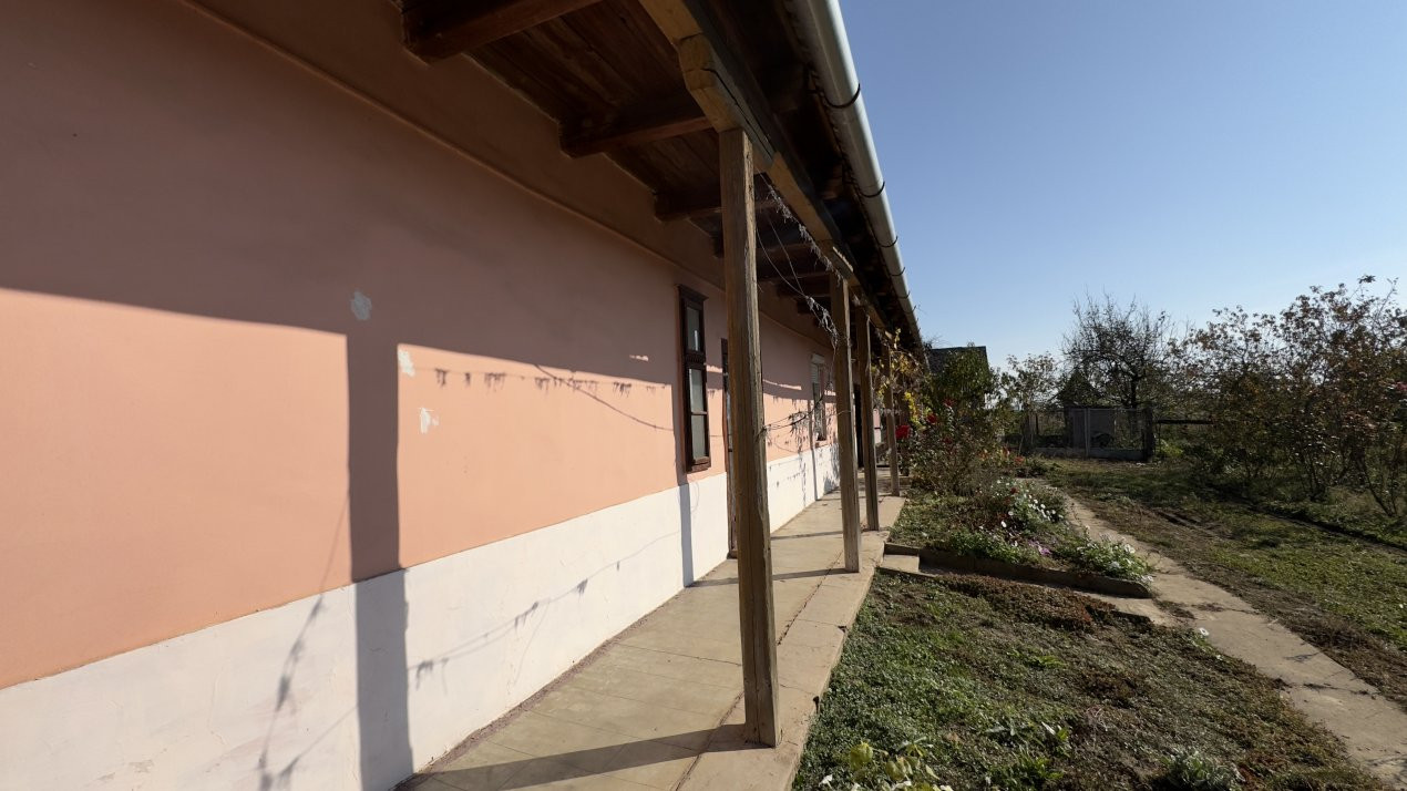 Casă 3 camere, Teren 3466 mp Petrești SM - Comision 0% cumpărător