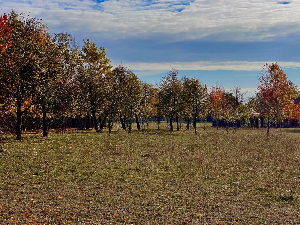 Teren Premium 1559 mp, Brebu Manastirei – Refugiu Montan la 120 km de Bucuresti,