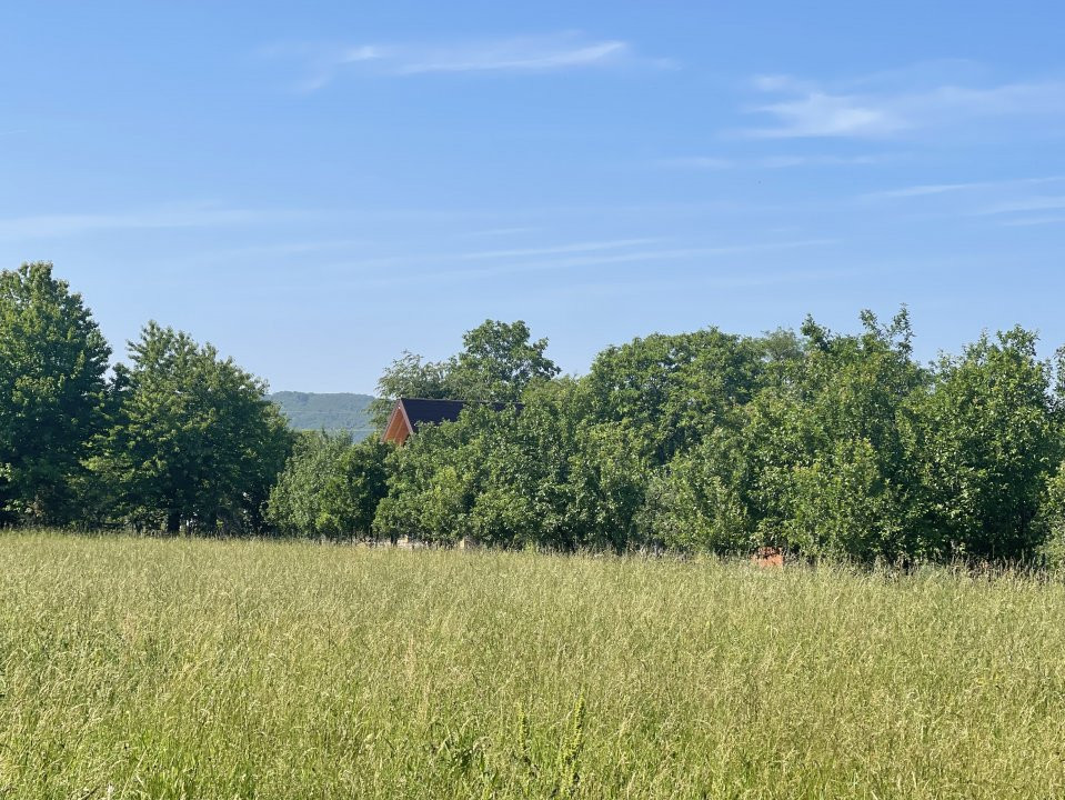 Teren Premium 1559 mp, Brebu Manastirei – Refugiu Montan la 120 km de Bucuresti,