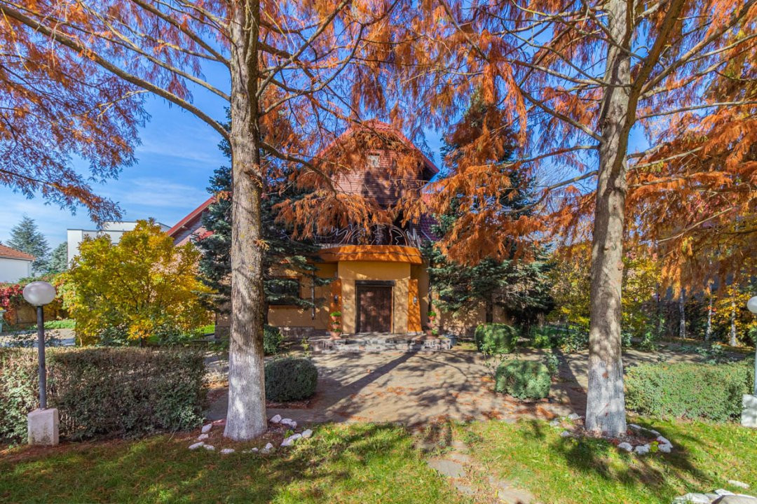 Casa din Natura Balotesti-6300 mp teren-Acces privat la lac si ponton propriu