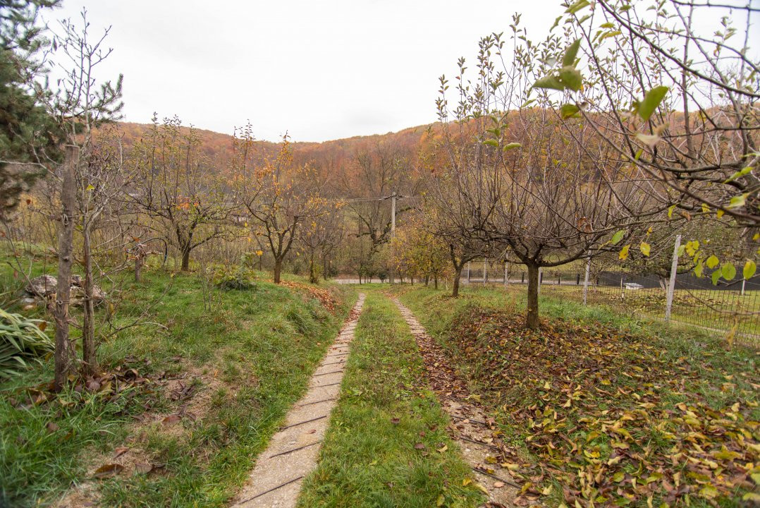 Proprietate deosebita cu vedere panoramica la 10 km de Mioveni. Comision 0%