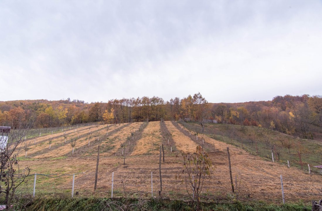 Proprietate deosebita cu vedere panoramica la 10 km de Mioveni. Comision 0%