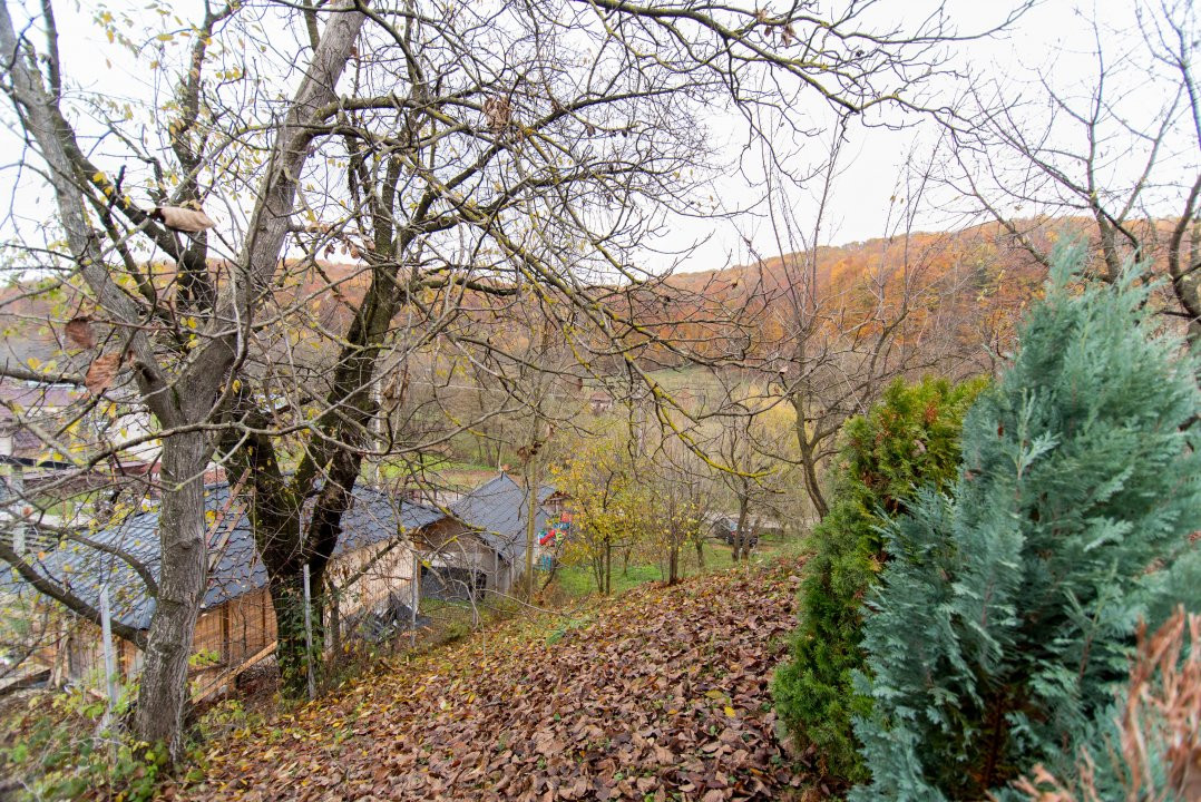Proprietate deosebita cu vedere panoramica la 10 km de Mioveni. Comision 0%