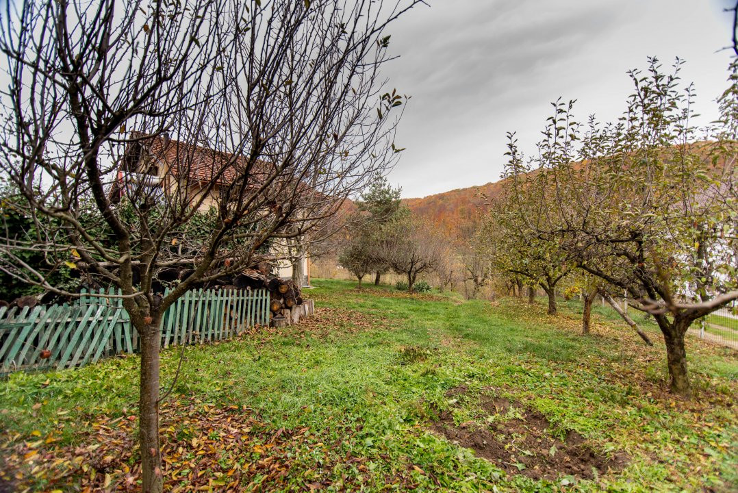 Proprietate deosebita cu vedere panoramica la 10 km de Mioveni. Comision 0%