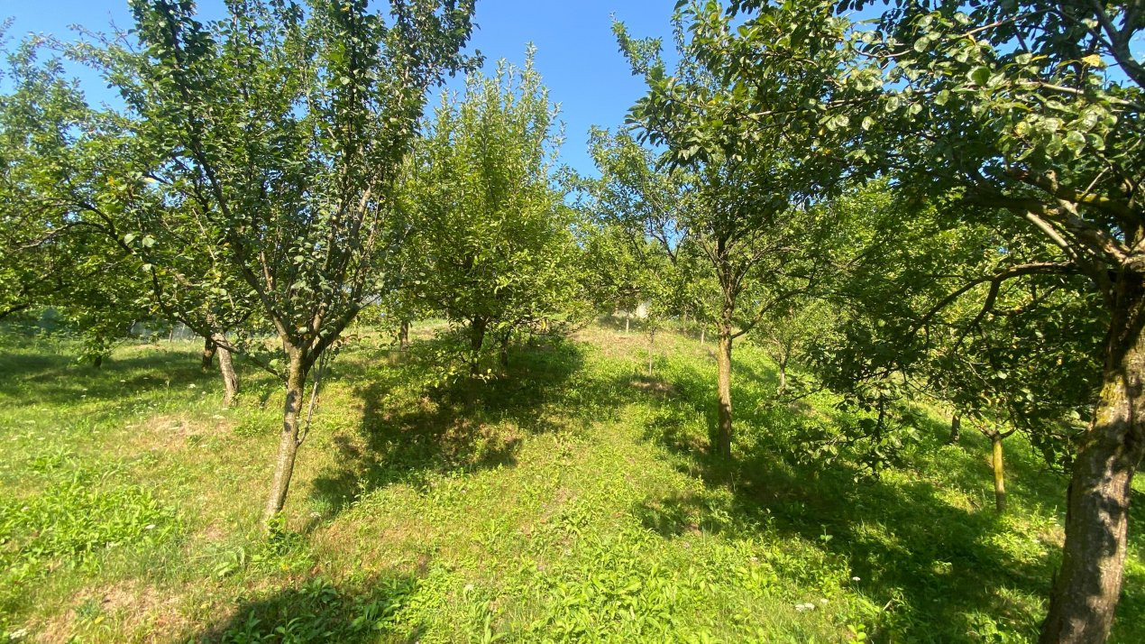 Proprietate deosebita cu vedere panoramica la 10 km de Mioveni. Comision 0%