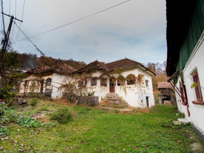 Gospodarie traditionala in loc. Vulturesti-15 km de Mioveni. Comision 0%