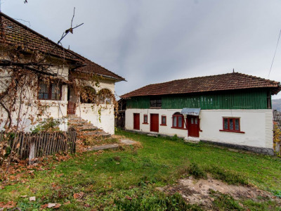 Gospodarie traditionala in loc. Vulturesti-15 km de Mioveni. Comision 0%