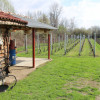 Proprietate rustica  thumb 20