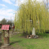 Proprietate rustica  thumb 28