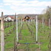 Proprietate rustica  thumb 30