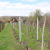 Proprietate rustica  thumb 31