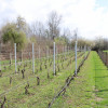 Proprietate rustica  thumb 32