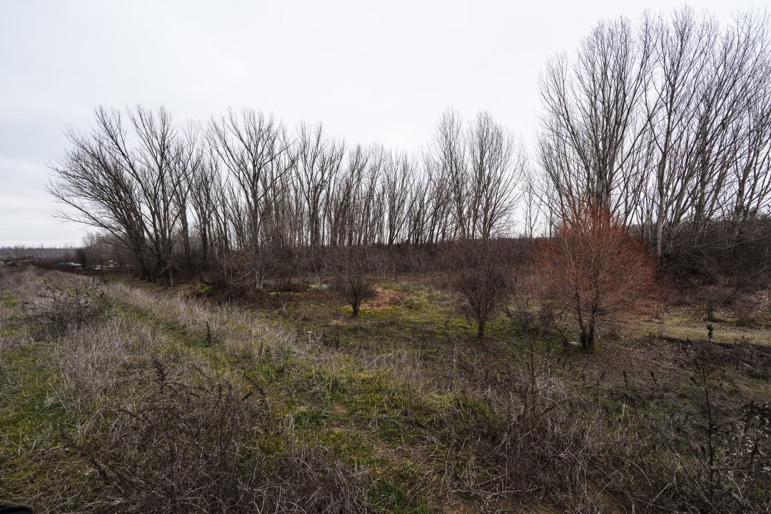 Investitie de viitor! Teren intravilan 8554 mp-Bucovat