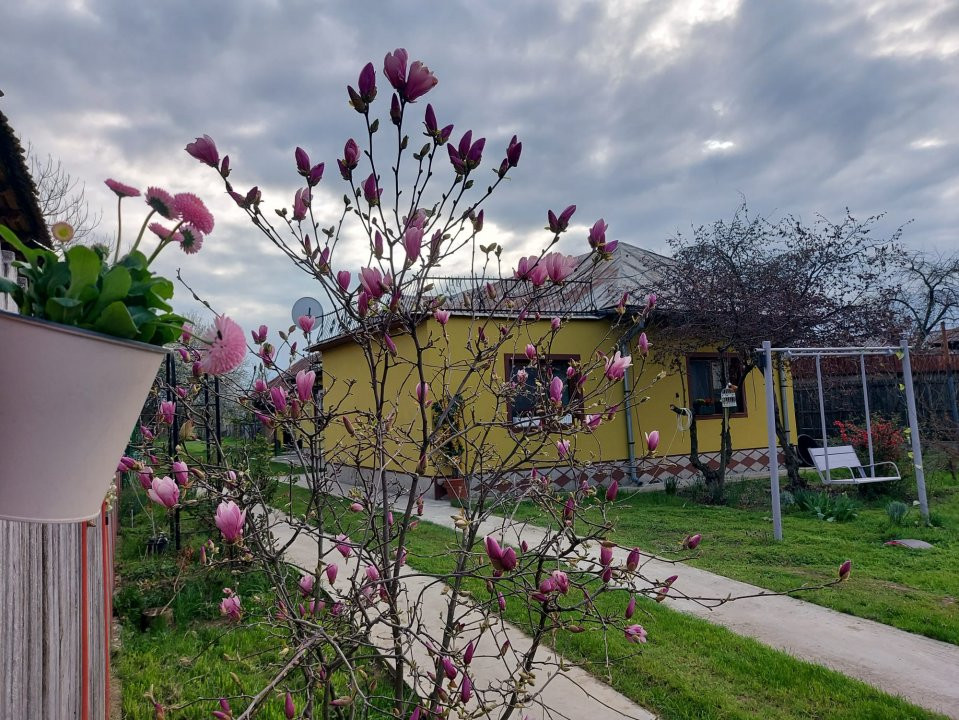 Casa pe parter cu teren generos - Topoloveni, Argeș