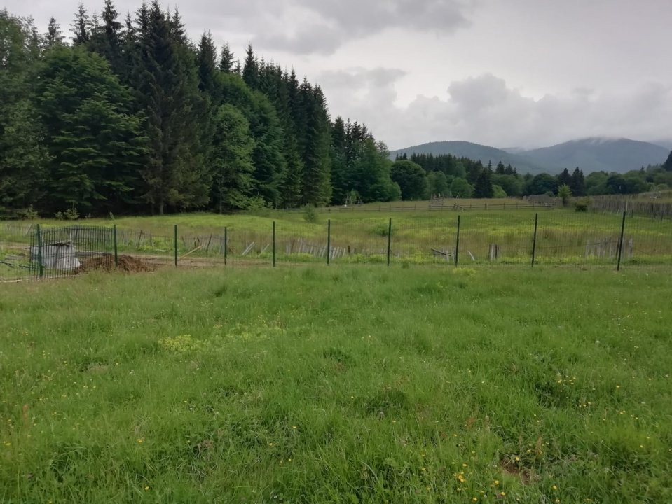 Teren intravilan 683 mp, ideal casa de vacanta, Valea Doftanei, Traisteni