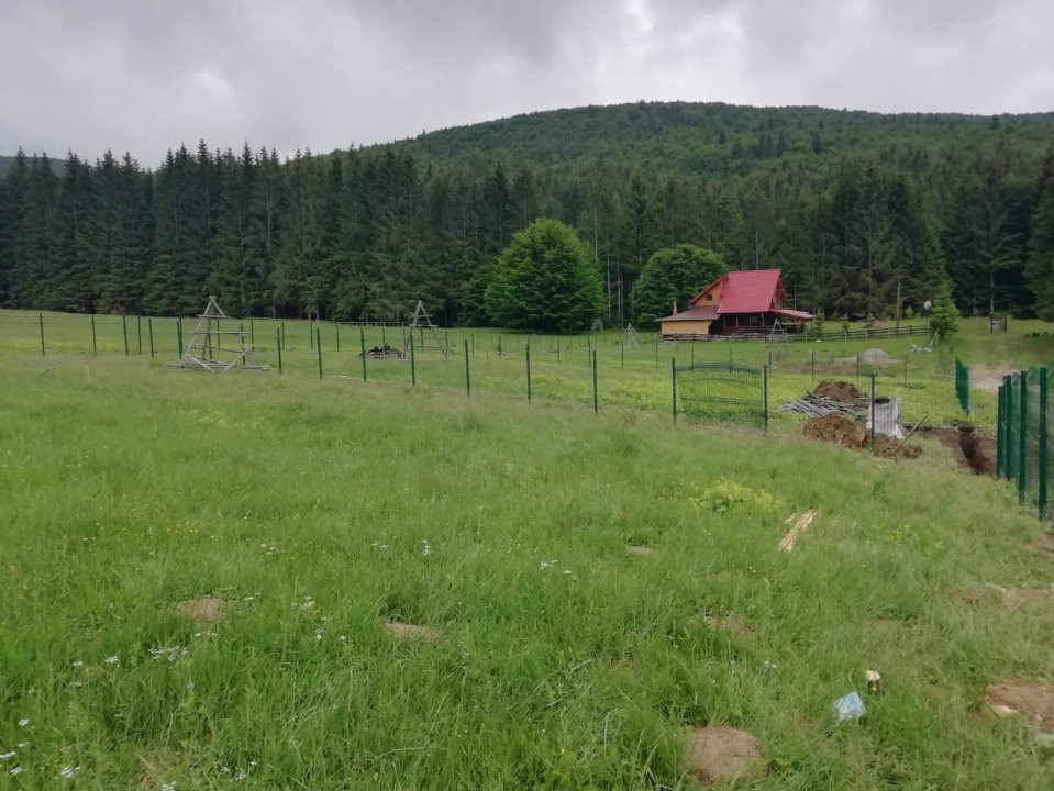 Teren intravilan 683 mp, ideal casa de vacanta, Valea Doftanei, Traisteni