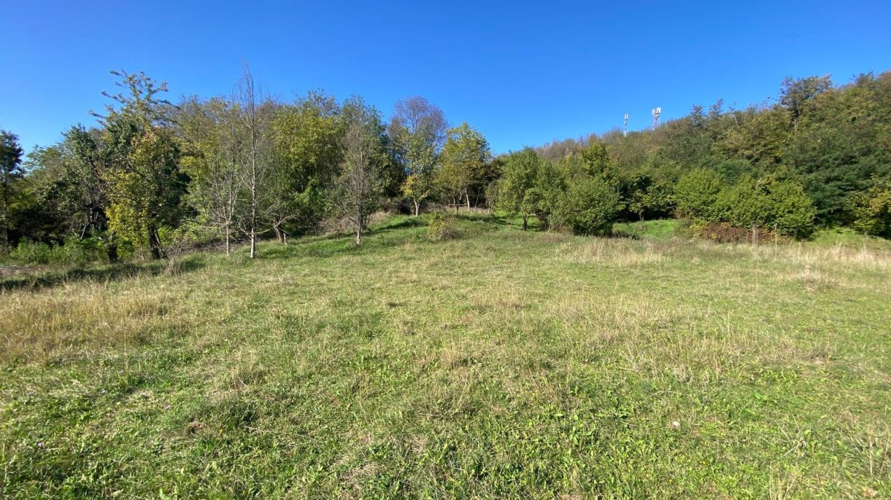 Teren 15210 mp ideal pentru dezvoltatori imobiliari