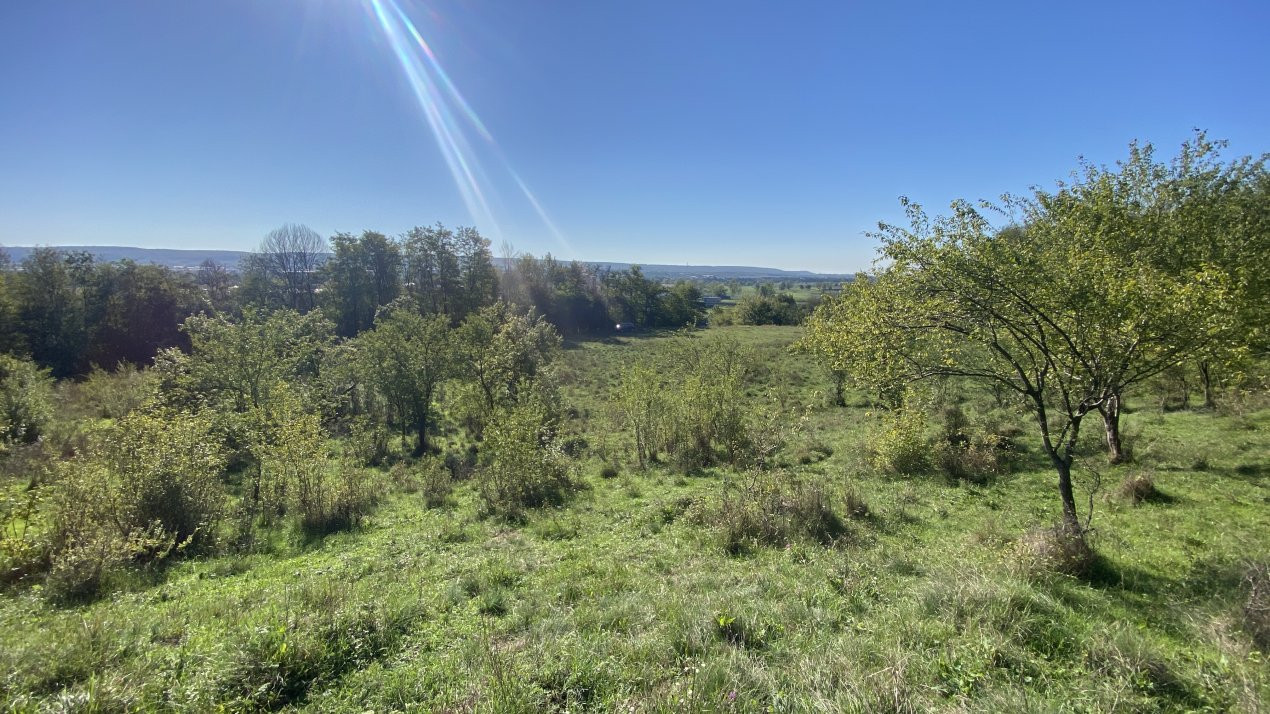 Teren 15210 mp ideal pentru dezvoltatori imobiliari