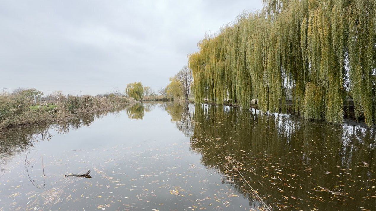 Afacere la cheie-Spălătorie, Vulcanizare Auto, Lac Agrement-Loc.Tășnad Jud. SM