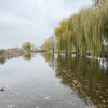 Afacere la cheie-Spălătorie, Vulcanizare Auto, Lac Agrement-Loc.Tășnad Jud. SM thumb 23