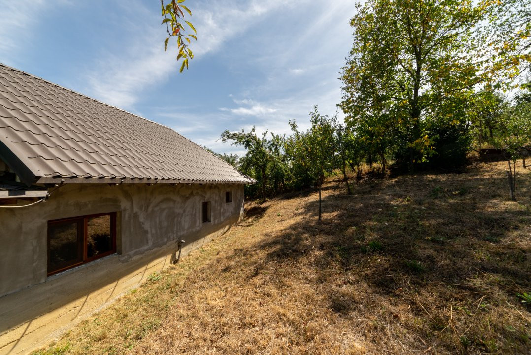 Casa  cu 4 camere in Sat Bujoi, Comuna Bogați+ Anexe + Teren 2693 mp