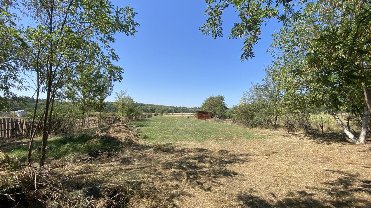 Teren Intravilan 2915 mp Albota - Mares