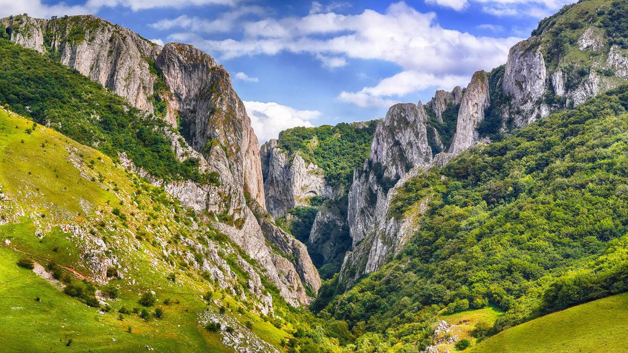 Domeniu Exclusivist de 14,000 mp în Cheia, Cluj - posibilitate rate