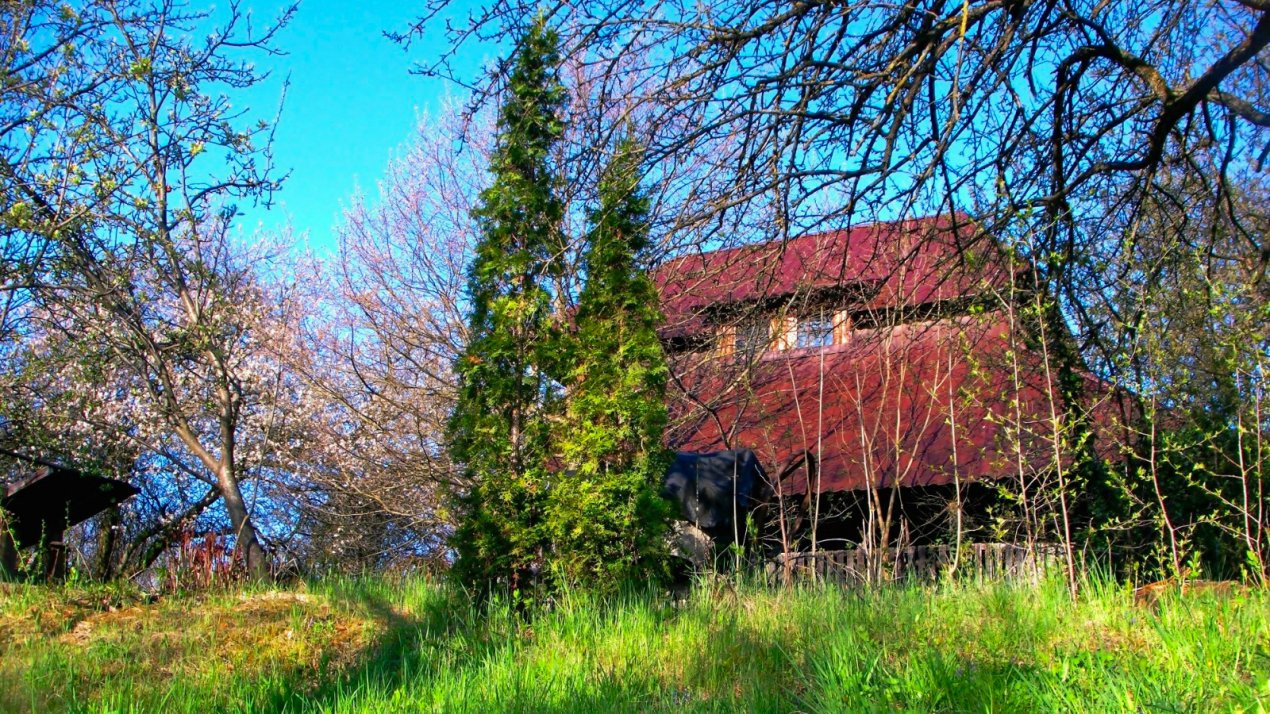 Domeniu Exclusivist de 14,000 mp în Cheia, Cluj - posibilitate rate