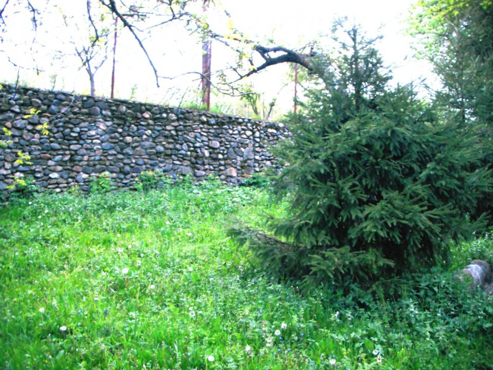 Domeniu Exclusivist de 14,000 mp în Cheia, Cluj - posibilitate rate