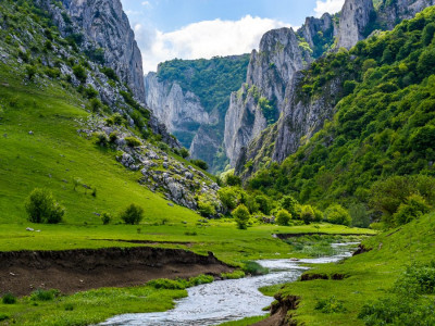 Domeniu Exclusivist de 14,000 mp în Cheia, Cluj - posibilitate rate