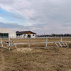 Afacere ecvestra, grajd, manej, si 15000 mp intravilan, langa Bucuresti thumb 4
