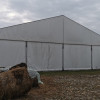 Afacere ecvestra, grajd, manej, si 15000 mp intravilan, langa Bucuresti thumb 5