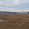 Afacere ecvestra, grajd, manej, si 15000 mp intravilan, langa Bucuresti thumb 7