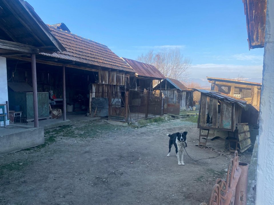 Casă tradițională cu teren generos la țară – Gorj, Șomănești