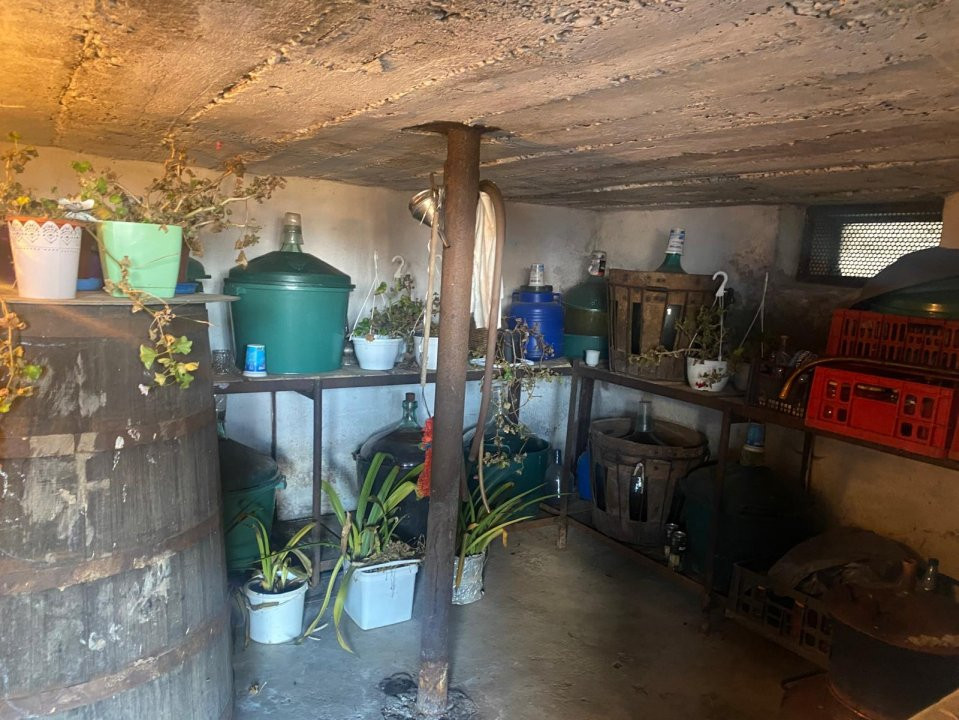 Casă tradițională cu teren generos la țară – Gorj, Șomănești