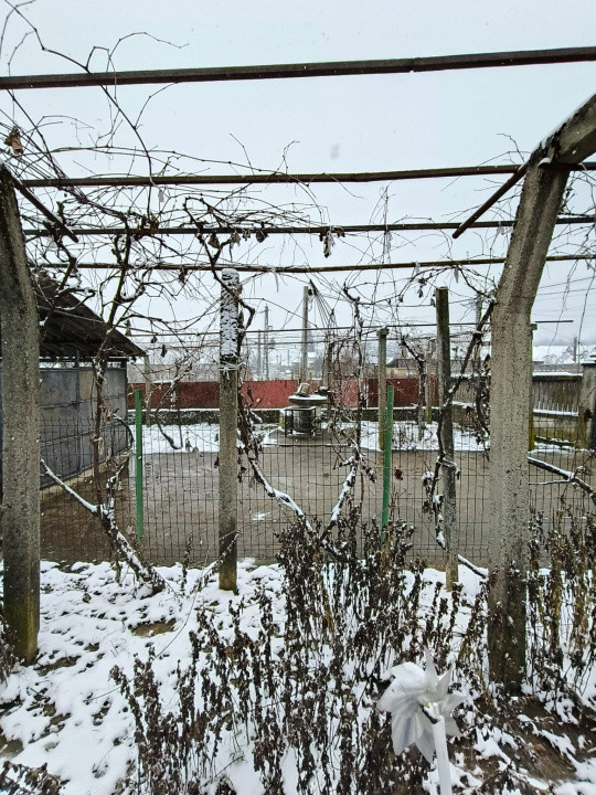 Proprietate rară – 2 case + livadă, vie și teren generos, la 20 km de Târgu Jiu