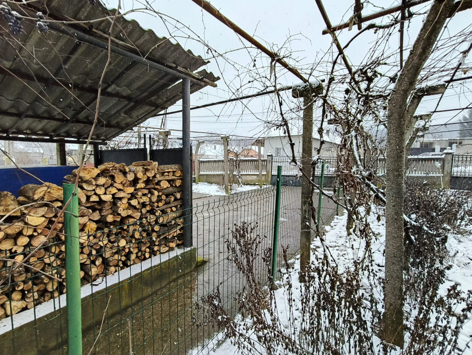 Proprietate rară – 2 case + livadă, vie și teren generos, la 20 km de Târgu Jiu