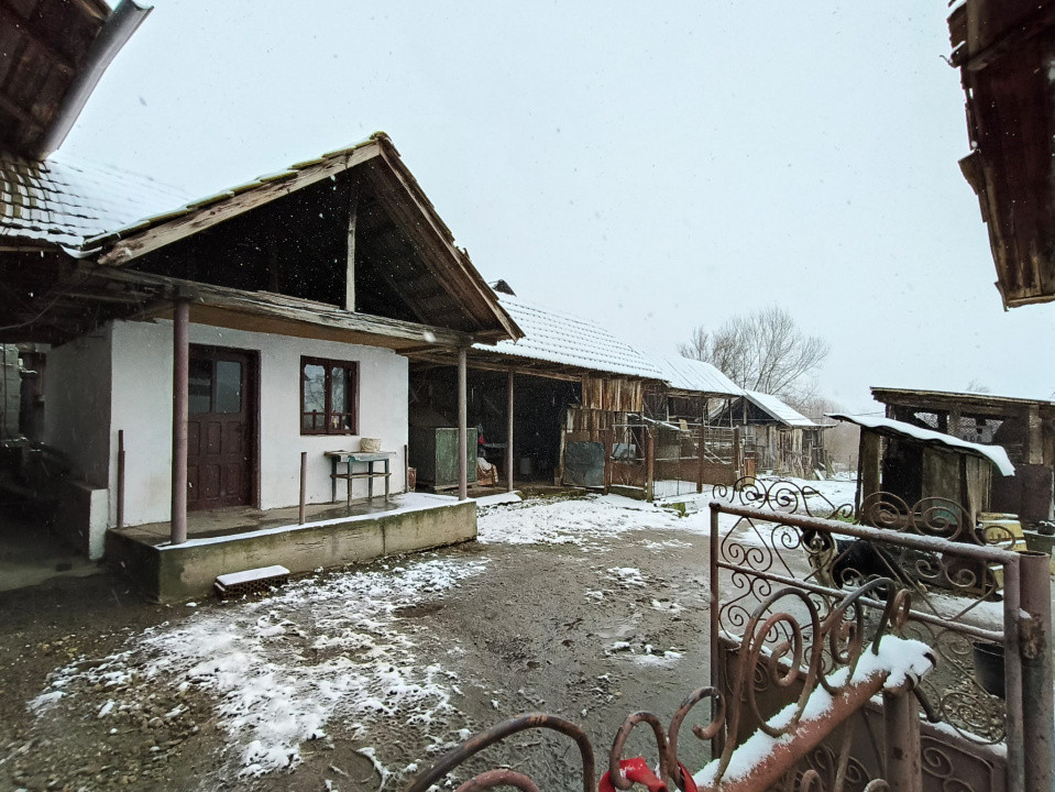 Proprietate rară – 2 case + livadă, vie și teren generos, la 20 km de Târgu Jiu
