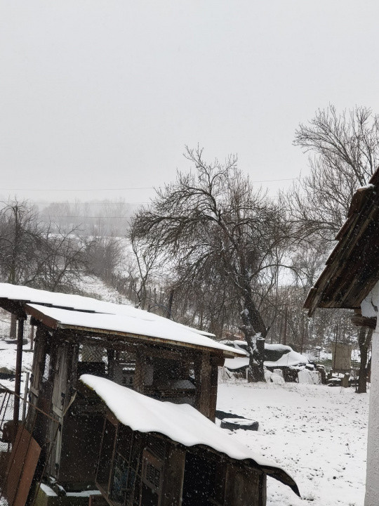 Proprietate rară – 2 case + livadă, vie și teren generos, la 20 km de Târgu Jiu