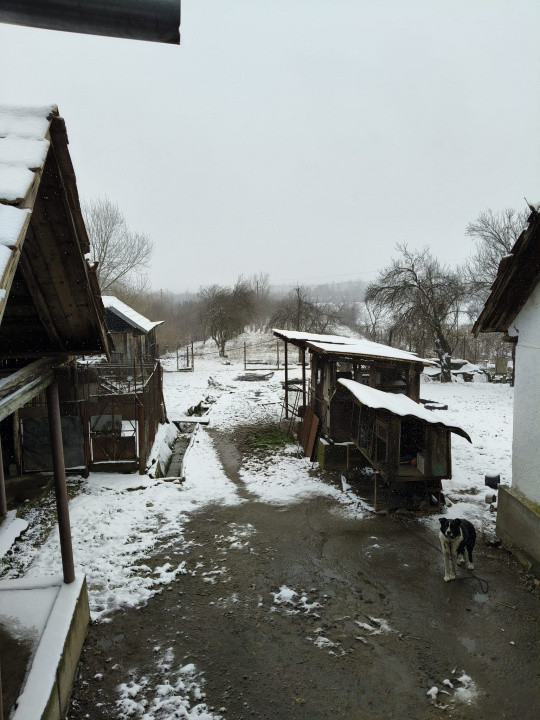 Proprietate rară – 2 case + livadă, vie și teren generos, la 20 km de Târgu Jiu